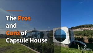 pros and cons of capsule house