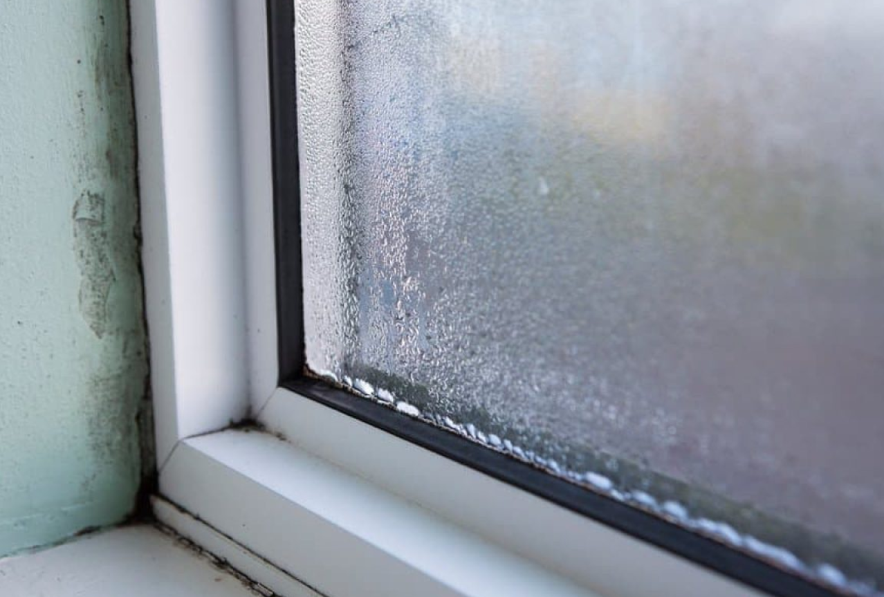 Water droplets around the edge of a window